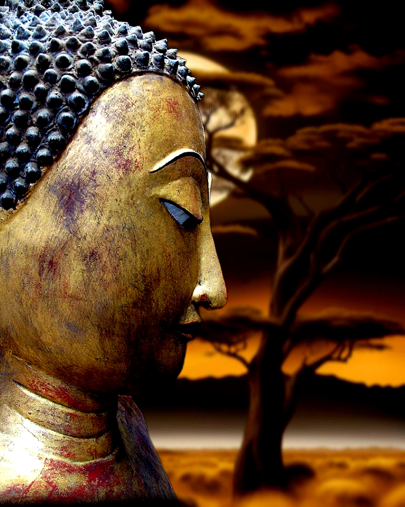 Early 18C Wood Thai Buddha #036-2