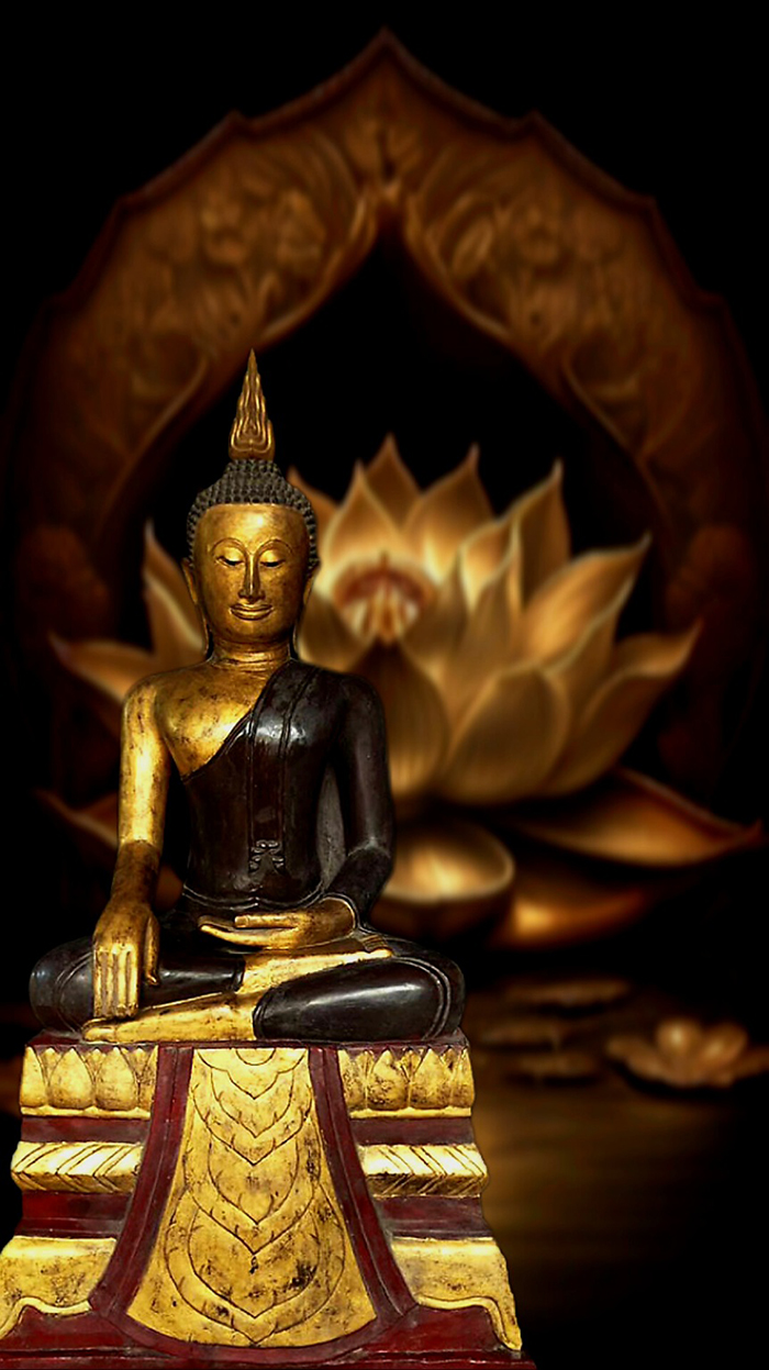 #thaibuddha #lannabuddha #buddha #buddhastatue #antiquebuddhas #antiquebuddha