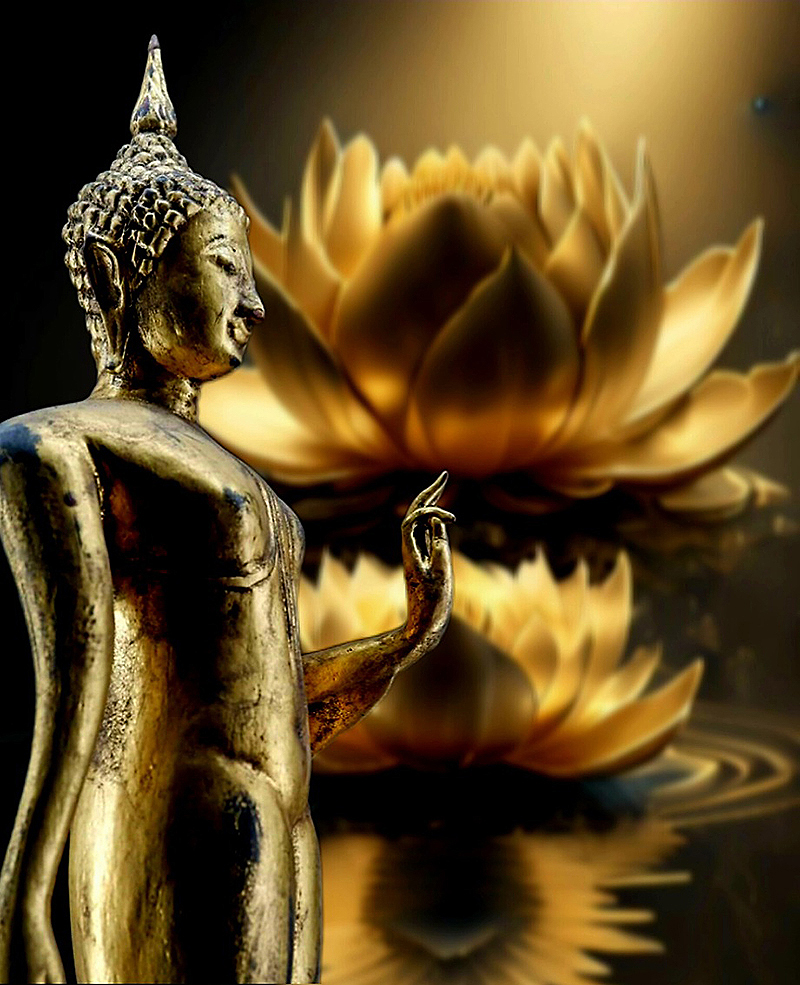 #walkingbuddha #thaibuddha #buddha #Buddha #antiquebuddhas #antiquebuddha