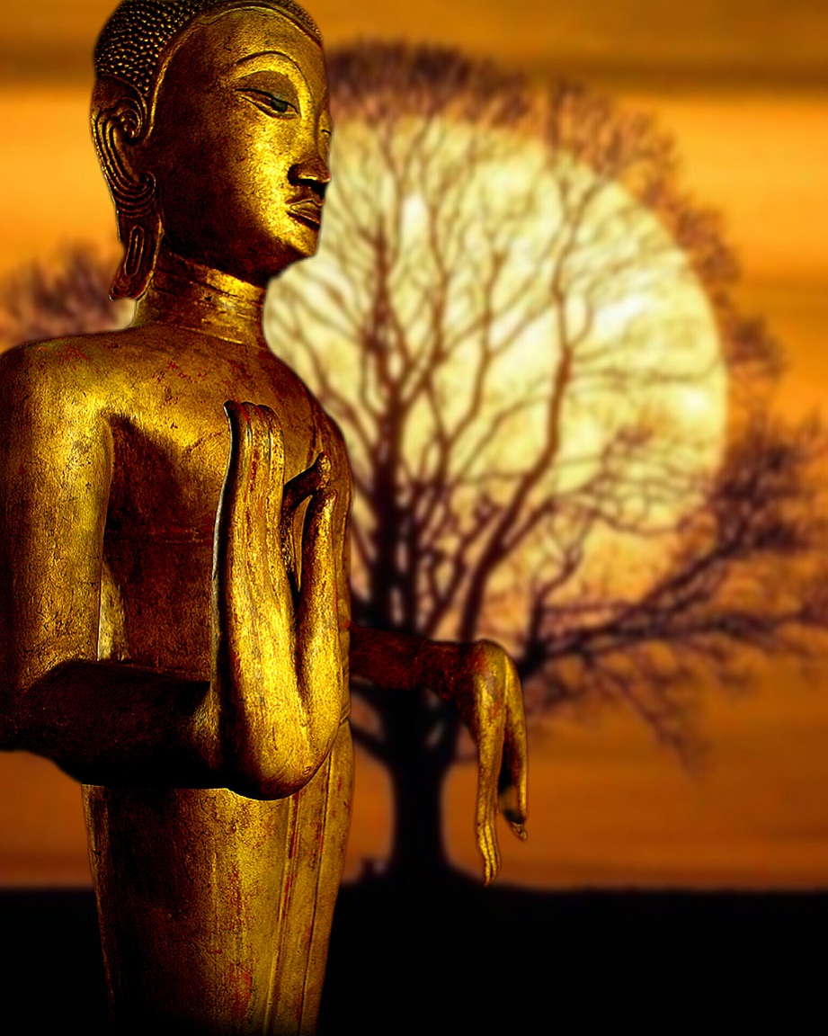 #woodlaosbuddha #laosbuddha #buddha #antiquebuddhas #antiquebuddha